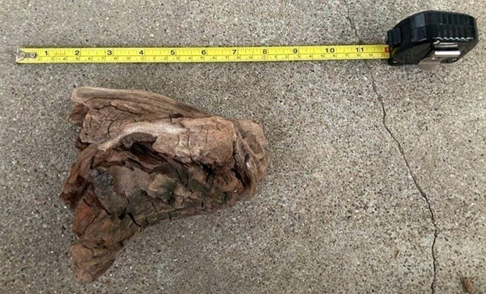 Ohio River Driftwood 6.5"x5.75"x4"